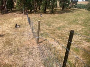 Post & netting fence with stand off electric wire
