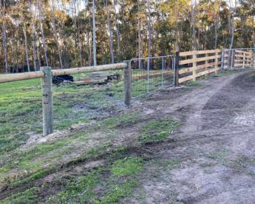 New fencing for cattle yard